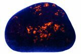Polished Yooperlite Pebble - Highly Fluorescent! #177457-1